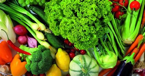 SaÚde NutriÇÃo Dicas E Curiosidades Os Legumes E HortaliÇas