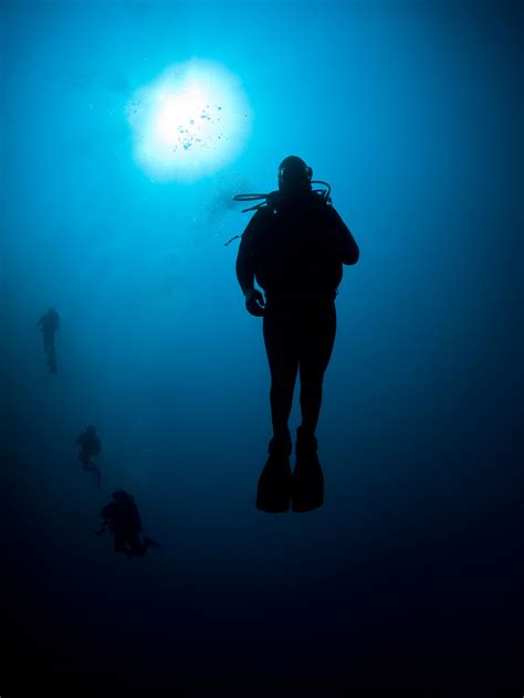 Underwater Photography Photographer Nicholas Samaras ~ Pix Addictoin