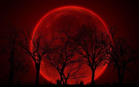 Gothic And Amazing Red Moon Rouge Aesthetic Red Aesthetic