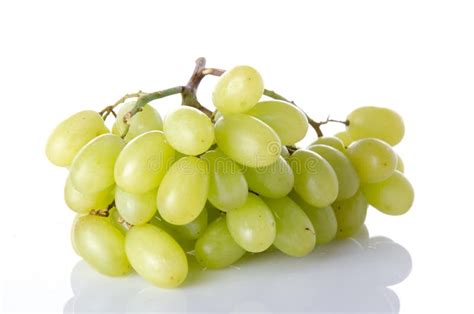 White Grapes Stock Photo Image Of White Composition 39904480