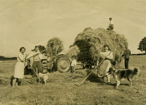 The corridor of uncertainty: Make hay while the sun shines