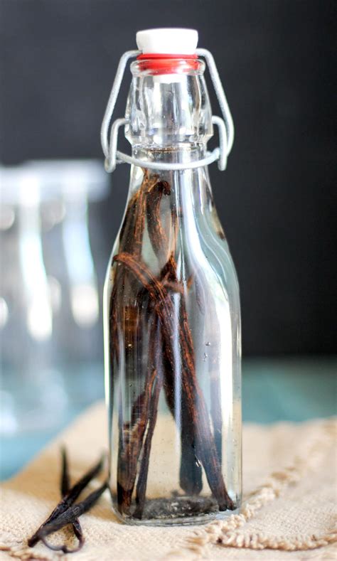(if you haven't heard that rumor, you might have just spit out your coffee. How to Make Vanilla Extract at Home! Homemade Vanilla ...