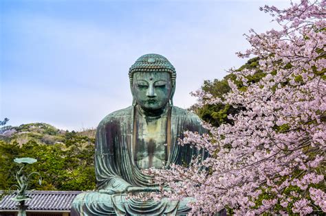 10 Top Amazing Tourist Attractions You Must Visit In Japan