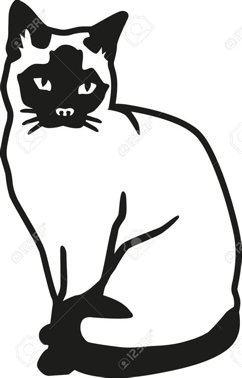 It gets even more confusing, though, as not all the colors mentioned above are recognized everywhere as 'official' siamese cat colors. Siamese Cat Clipart | Free download on ClipArtMag