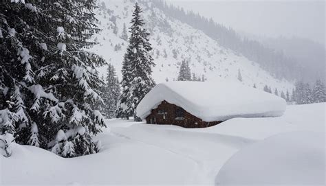 Glitzernder schnee und blüten im bergfrühling, sommerglut und herbstfärbung, das ganze jahr über. Bis zu 2 Meter Neuschnee in den Alpen erwartet ...