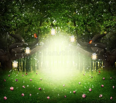 Fantasy World Enchanted Forest With Magic Lights Beautiful