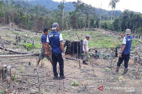 Gempa gunungkidul yang terjadi tidak memengaruhi aktivitas gunung merapi. Top 3 Tekno Berita Hari Ini: Gempa Pacitan, Harimau di ...