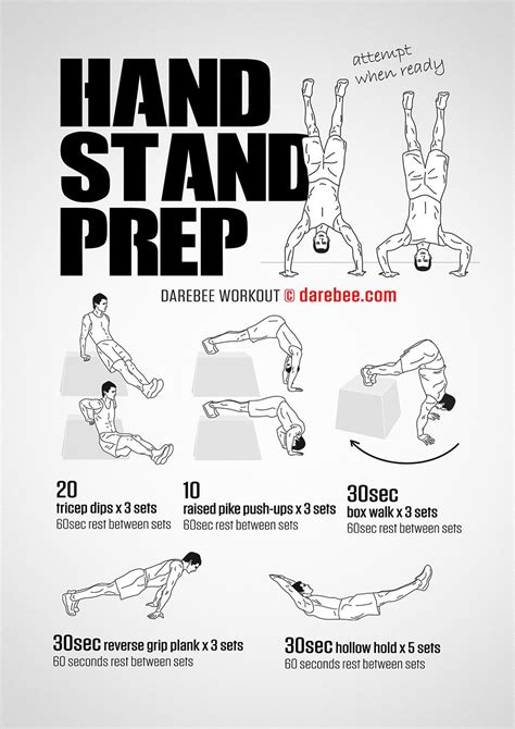 Handstand Prep Workout Parkour Workout Calisthenics Workout Plan