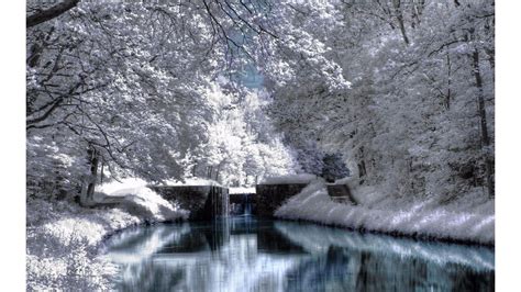 Top Winter S 3840 X 2160 Wallpaper Winter Scenery