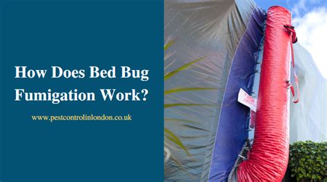 How Does Bed Bug Fumigation Work Pest Exterminators