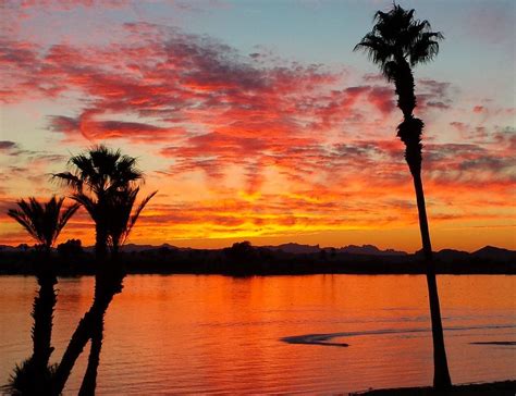 Two Palm Trees Are Silhouetted Against An Orange And Pink Sunset On The
