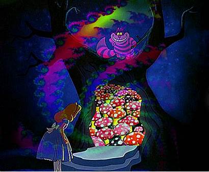 Wonderland Alice Trippy Psychedelic Lsd Trip Acid