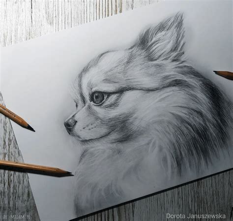 Rysunek Pies Chihuahua Psa Dekoracja ścian W Mieszka Czworonóg ღ Art