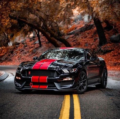 18 Badass Mustang Wallpaper Car Gallery Zone