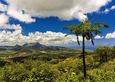 The 9 Best Hikes In Martinique