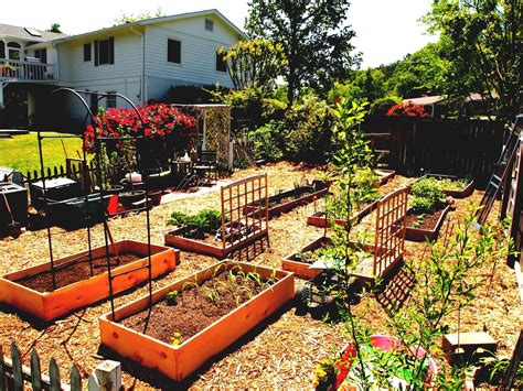 How To Design A Backyard Vegetable Garden Easy Backyard