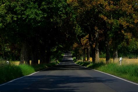 3840x2560 Asphalt Country Forest Grass Idyllic Landscape Lane