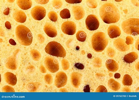 Orange Sponge With Big Holes Stock Photo Image 39762783