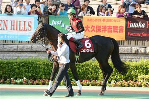 Check spelling or type a new query. 【東京競馬場】エイシンフラッシュ 13/10/6 13毎日王冠 | ノース ...