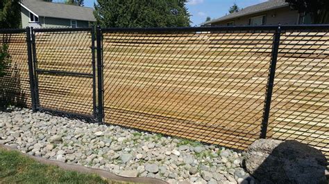 Cedar Slats In Chain Link Fence In Chain Link Fence Fence Fence Design