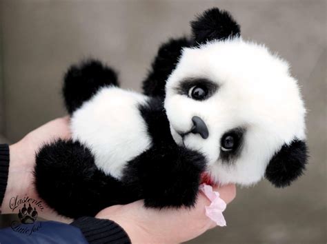 Cute Pictures Of Baby Panda Bears Peepsburghcom