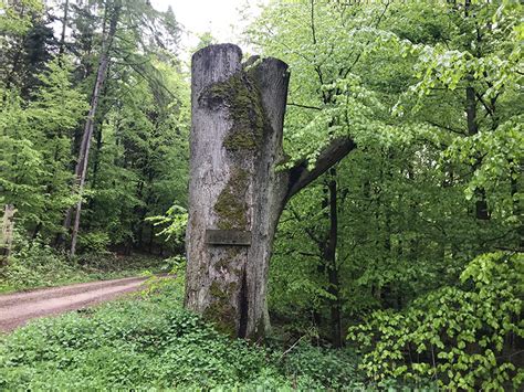 41 likes · 28 were here. Von Witzenhausen zum Schloss Berlepsch - See You on the ...