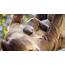Baby Sloth Born At Brevard Zoo In Early January