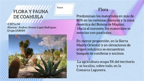 Top 139 Mapa De Coahuila Con Flora Y Fauna Anmbmx