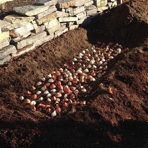 A Pile Of Dirt Next To A Stone Wall With Small Shells On It In The Ground