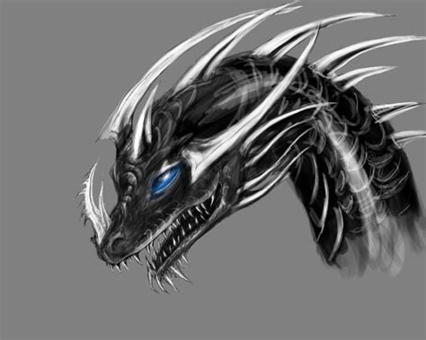 Dragon Head By Ormirian On Deviantart
