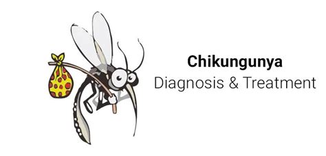 Chikungunya Diagnosis And Treatment Credihealth