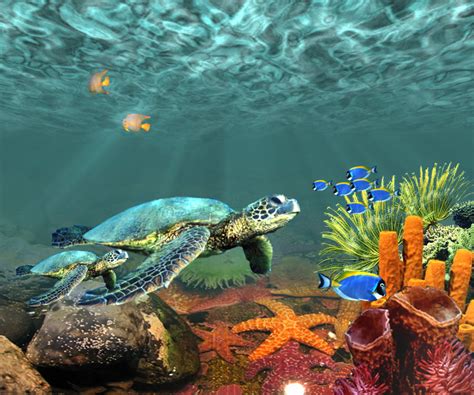 44 Underwater Scenes Desktop Wallpaper
