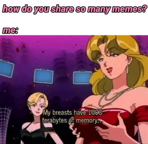 How Do You Share So Many Memes Breasts Have Terabytes Memory Ifunny Brazil