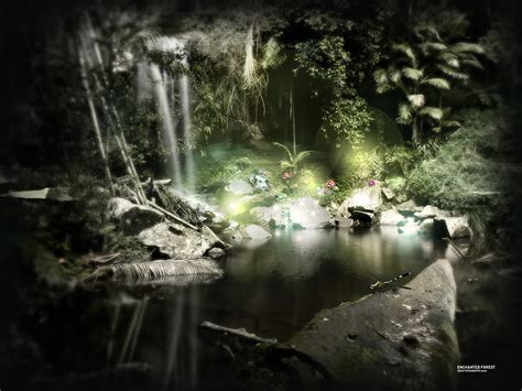 Hd Wallpaper Enchanted Forest Wallpaper Flare