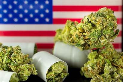 Marijuana Today Buds 2021 States Legalization York