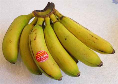 Bananas Nino Ingredients Descriptions And Photos An All Creatures