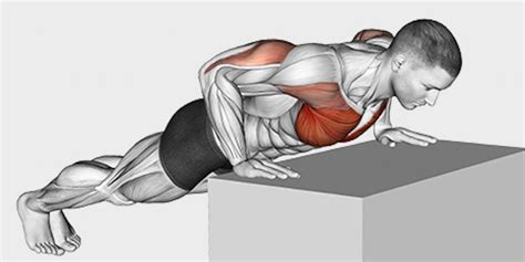 Diamond Push Ups Benefits And The Muscles They Target A Lean Life