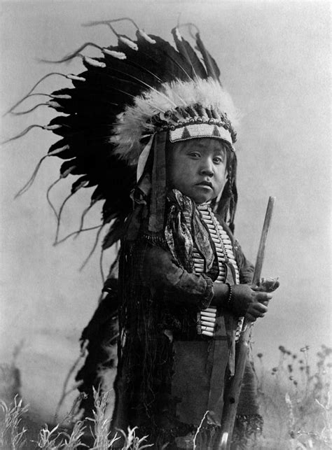 Young Native American In Full Headdress Richard Throssel Circa 1907