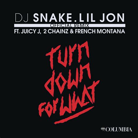 Turn Down For What By Dj Snake Lil Jon On Mp Wav Flac Aiff Alac