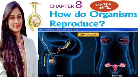 reproduction basics how do organisms reproduce part 1 class 10 cbse sslc youtube