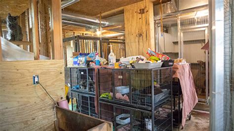 Humane Society Rescues 108 Animals From Home