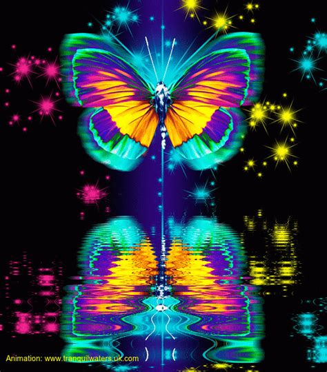 Colourful Butterfly Butterflies Fan Art 40842399 Fanpop