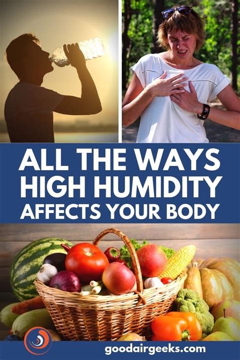 The Effects Of High Humidity On The Body High Humidity Humidity