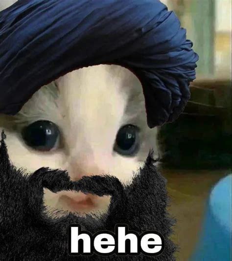Taliban Hehe Hehe Cat Know Your Meme