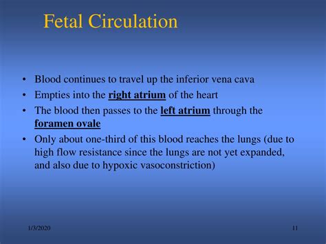 Ppt Fetal Circulation Powerpoint Presentation Free Download Id9457501