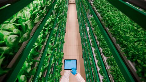 Future Of Agriculture What Does Automated Vertical Farming Look Like