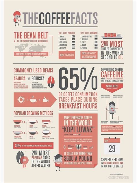 The Coffee Facts Infographic Poster Photographic Print By Onocreates