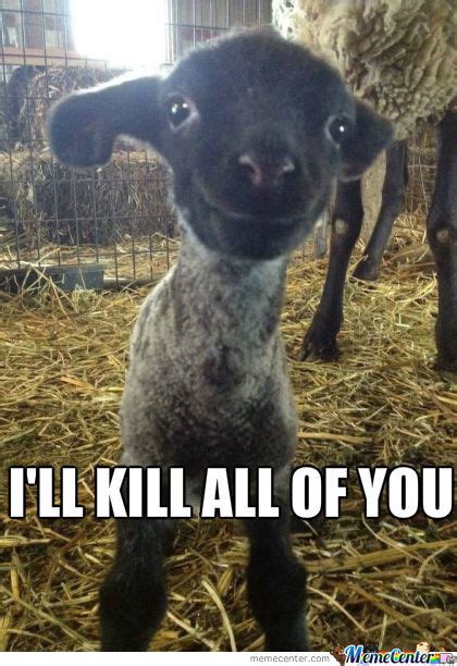 These goat meme have goat too far funny goat meme picture. 35 Most Funny Goat Meme Pictures And Images