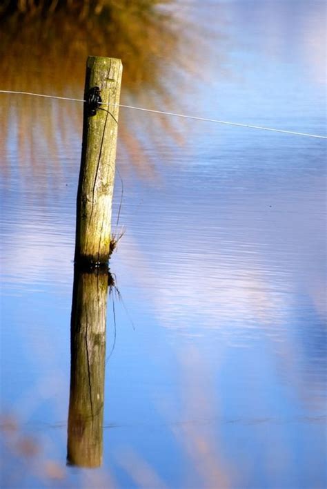 dat staat als een paal boven water