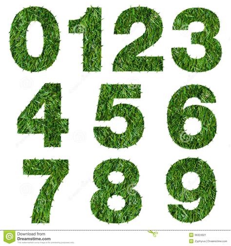 Numbers Made Of Green Grass Stock Illustration Illustration Of